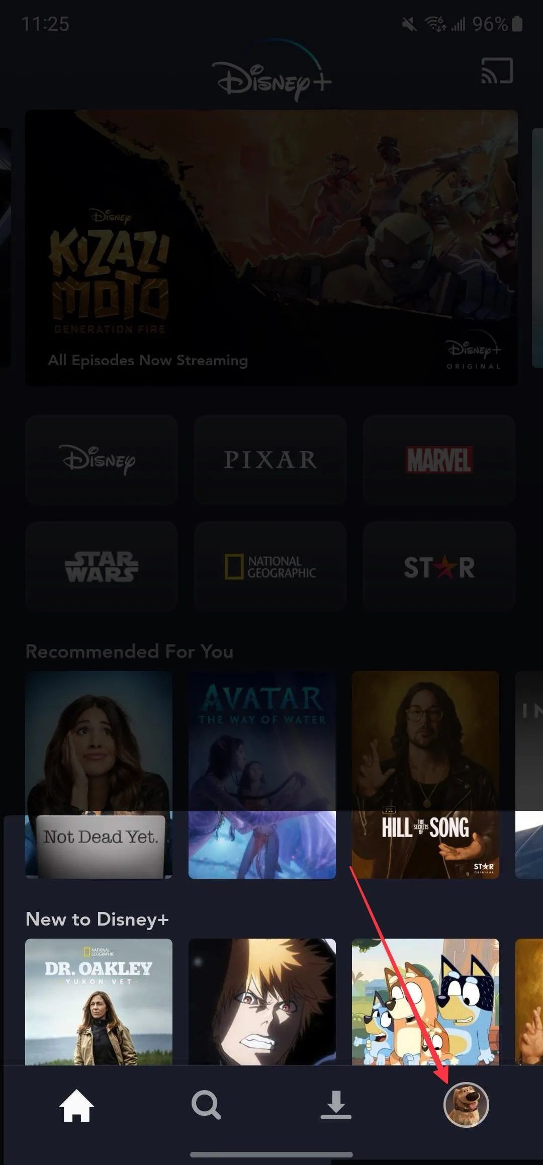 Managing Your Disney+ Subscription and Profiles with Ease